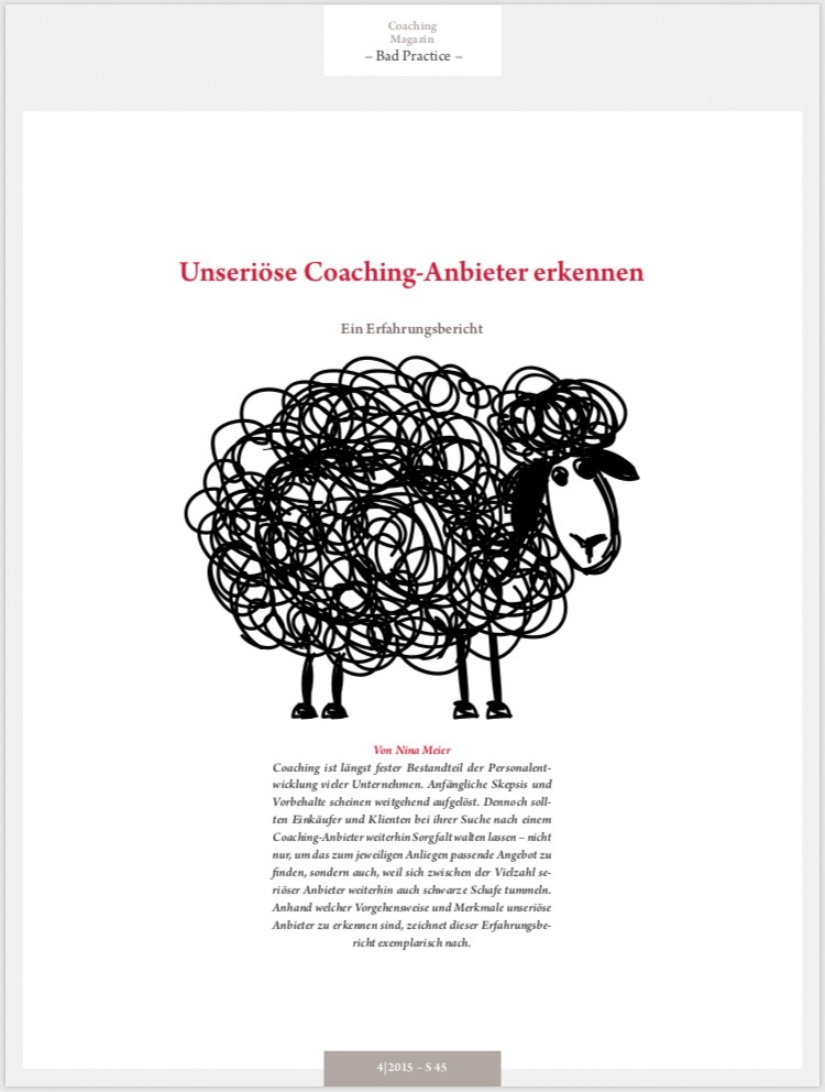 Screenshot einer Publikation von Nina Meier aus Hamburg zu Coaching und Teamarbeit.